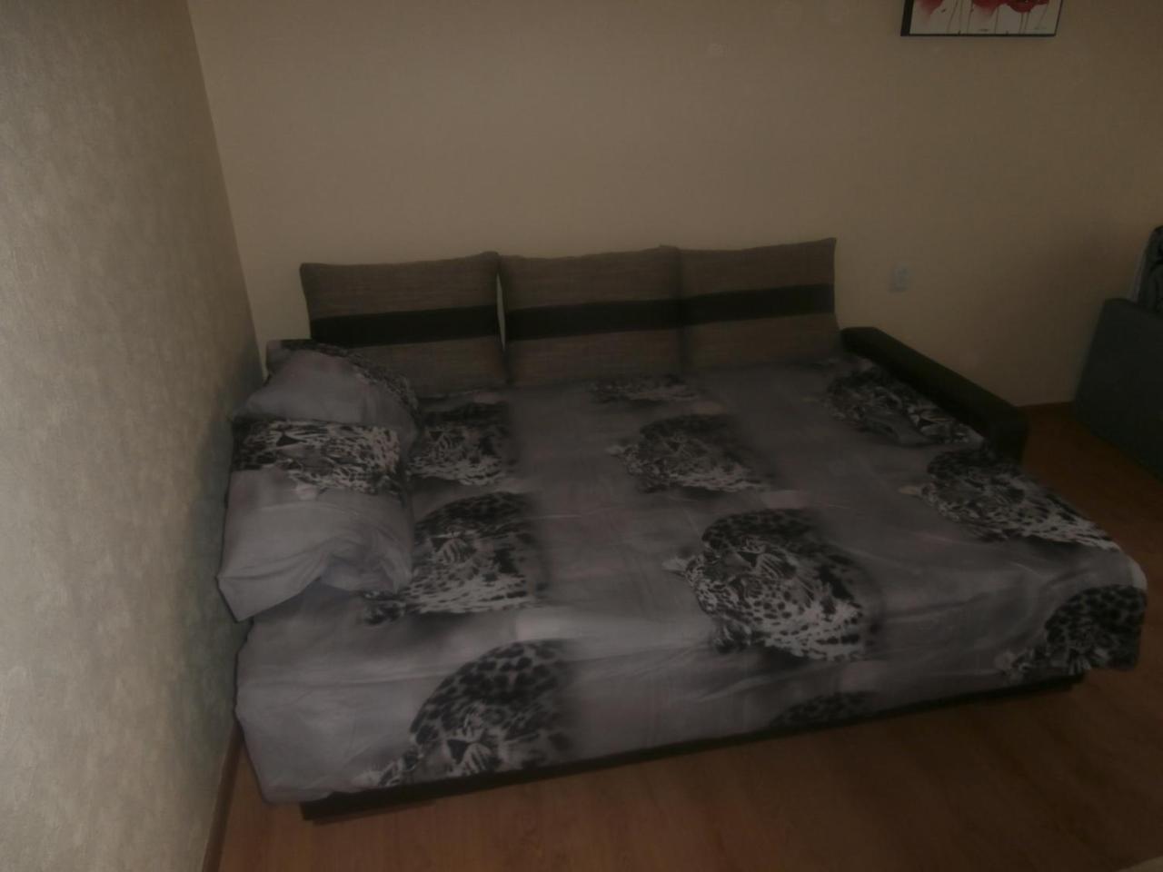 Central Daugavpils Apartment Екстериор снимка